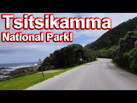 S1 – Ep 198 –Tsitsikamma National Park – A Beautiful Protected Area on the Garden Route!