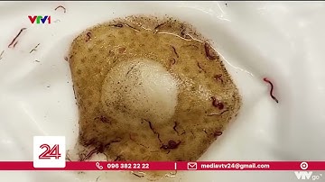 Sục rửa đường ống nước- Bảo trì điện nước Tây Hồ  sđt/zalo: 0355 525 916