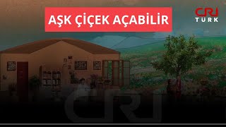 Aşk Çiçek Açabilir