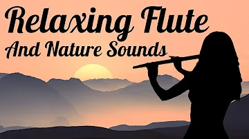 5 Minutes Of Relaxing Flute & Nature Sounds | Meditate