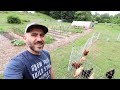 Learning to build the most efficient homestead