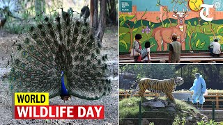 Delhi Zoo With Delhi Street Art Organises A Wall Arts Event On Occasion Of World Wildlife Day Delhi Zoo With Delhi Street Art Organises A Wall Arts Event On Occasion Of World Wildlife Day