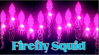 Discover the Mesmerizing Glow of the Enigmatic Firefly Squid—Nature's Living Light Show!