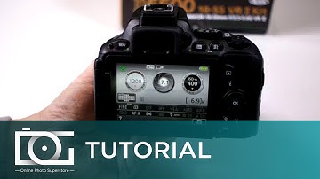 NIKON D5500 TUTORIAL | Can I See Info On the Screen While Shooting Manual?