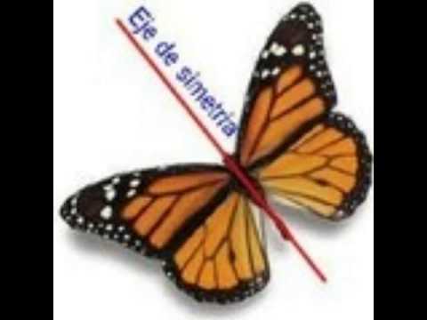 ოქროს კვეთა