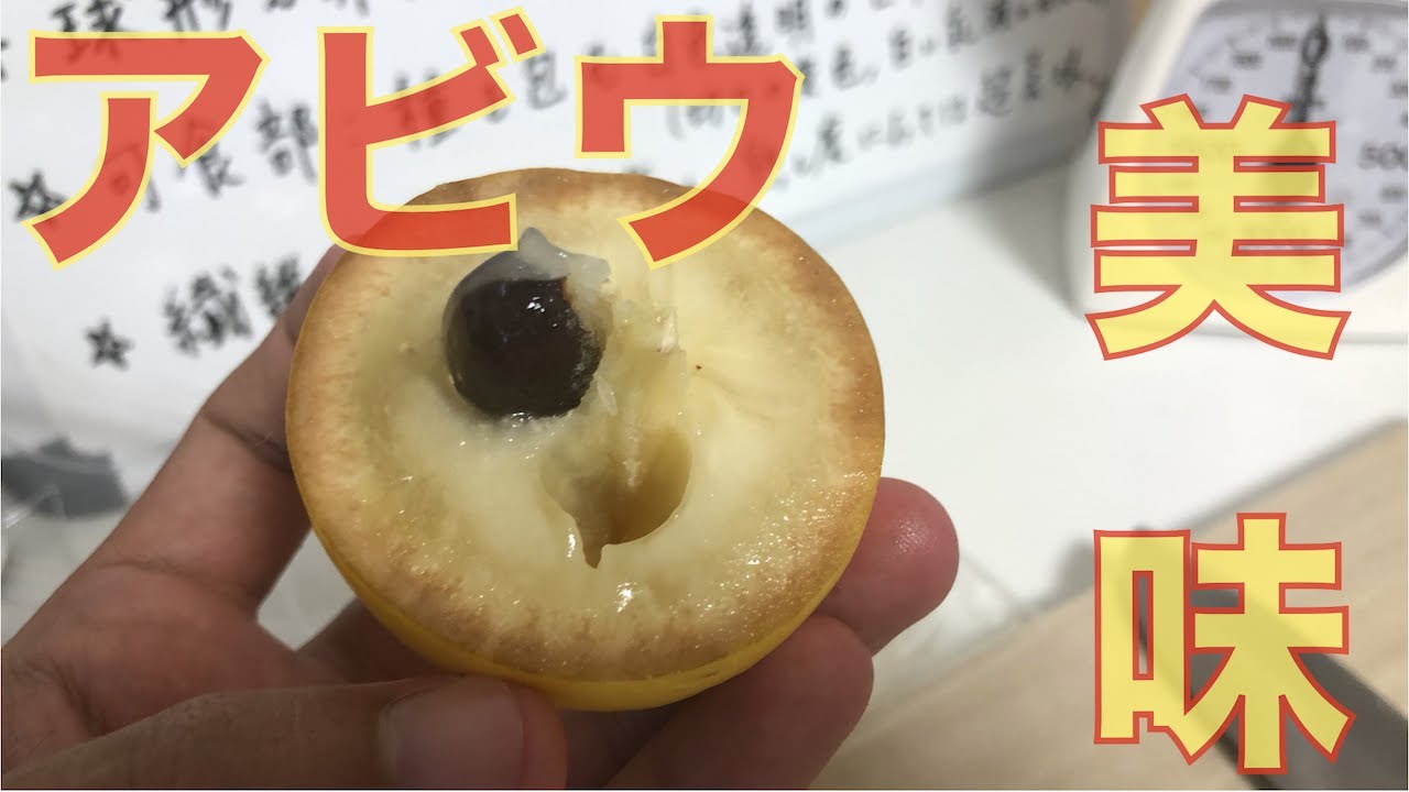 レア】「アビウ」という熱帯果樹が美味でした！解説と食レポ！ - YouTube