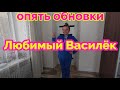 много обновокот"Любимый Василёк"/купили ещё куриц серебристых