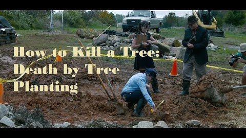 How to Kill a Tree video series - Part 1 "Death by Improper Tree Planting"