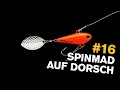 DORSCH angeln mit SpinMad  🎣 TEST auf der OSTSEE