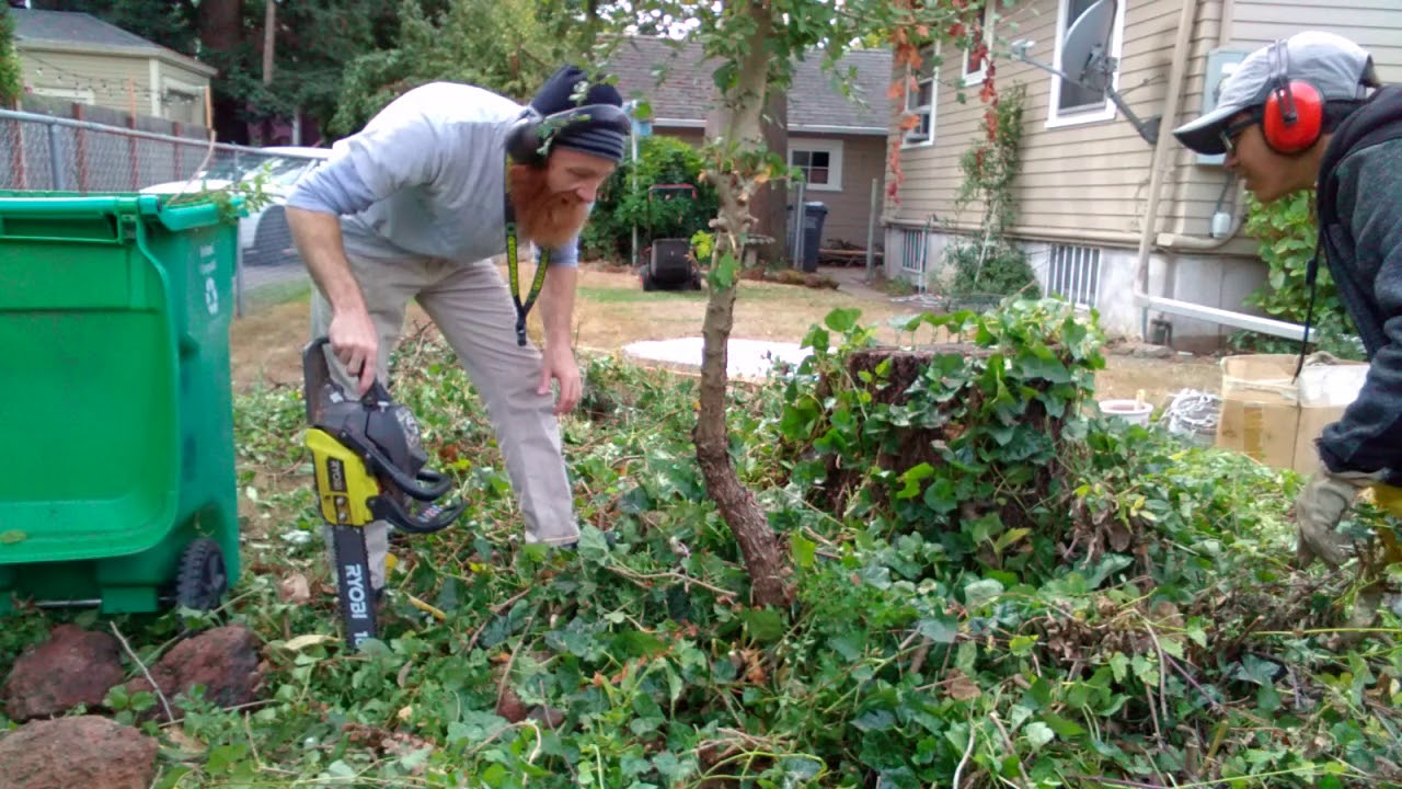 Bush removal - YouTube