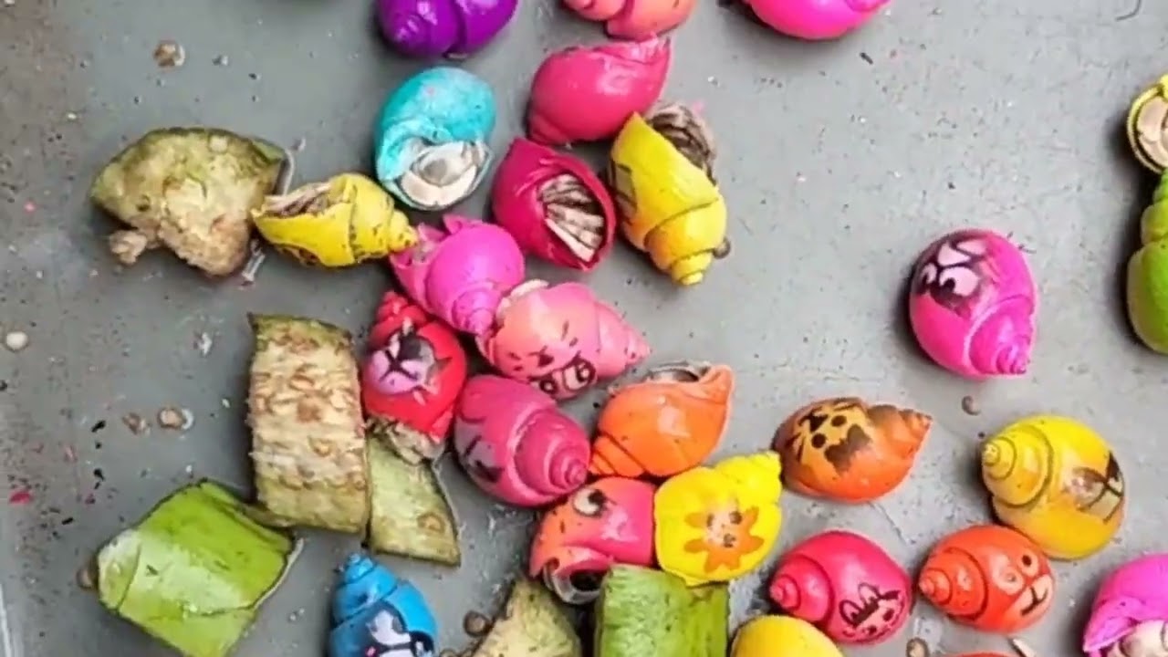 MENYERAMKAN! Berburu keong mas, Kepiting, Cumi Warna - Warni, (keong sawah) dirawa angker!  Eps.097