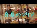 真夏のマリア 安全地帯 Covered by にゃんた ひとりバンド