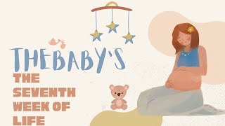 7 Week Old Baby Development Milestones, Sleep Patterns, Feeding, Tummy Time & When To See A Doctor