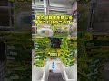 ROUND1で1000円分クレーンゲームしたら何個取れるの？#shorts #ラウンドワン #クレーンゲーム