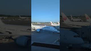 787 lineup at Tokyo airport #japan #japanairlines #tokyoairport #boeing #boeing787 #dreamliner