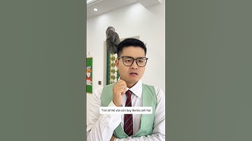 Anh trai phân tích khi túi rác tự động bay lên #shorts