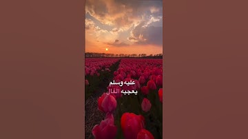 #قرآن #اكسبلور #الرحمن #حسنات #المصحف #دويتو #views #لايك #اذكار #حكم #طمأنينه