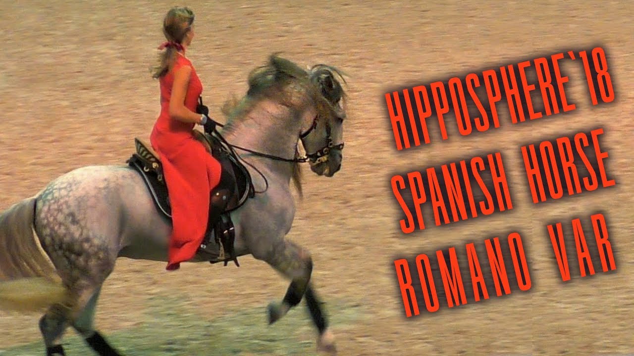 Андалузский жеребец - глаз не оторвать! Spanish Horse Show /Андалузская ...