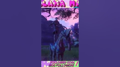 Kidney asserting dominance | #da_llama_mama on #Twitch