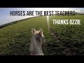 The Power of Patience - A Horse Riding Lesson by Elaine Heney & Listening to the Horse