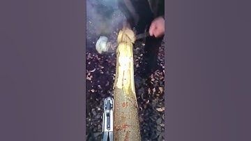 Wood Peeling with a Draw Knife - Tree Bark Scraper Tool
