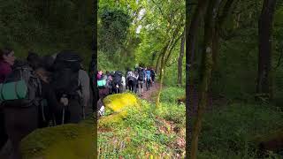 Walking The Final 100 Km French Way To Camino De Santiago