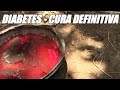 FN a la DIABETES | GUARDA ESTE VIDEO ANTES QUE SEA ELIMINADO DE YOUTUBE POR SU VALIOSA INFORMACIN