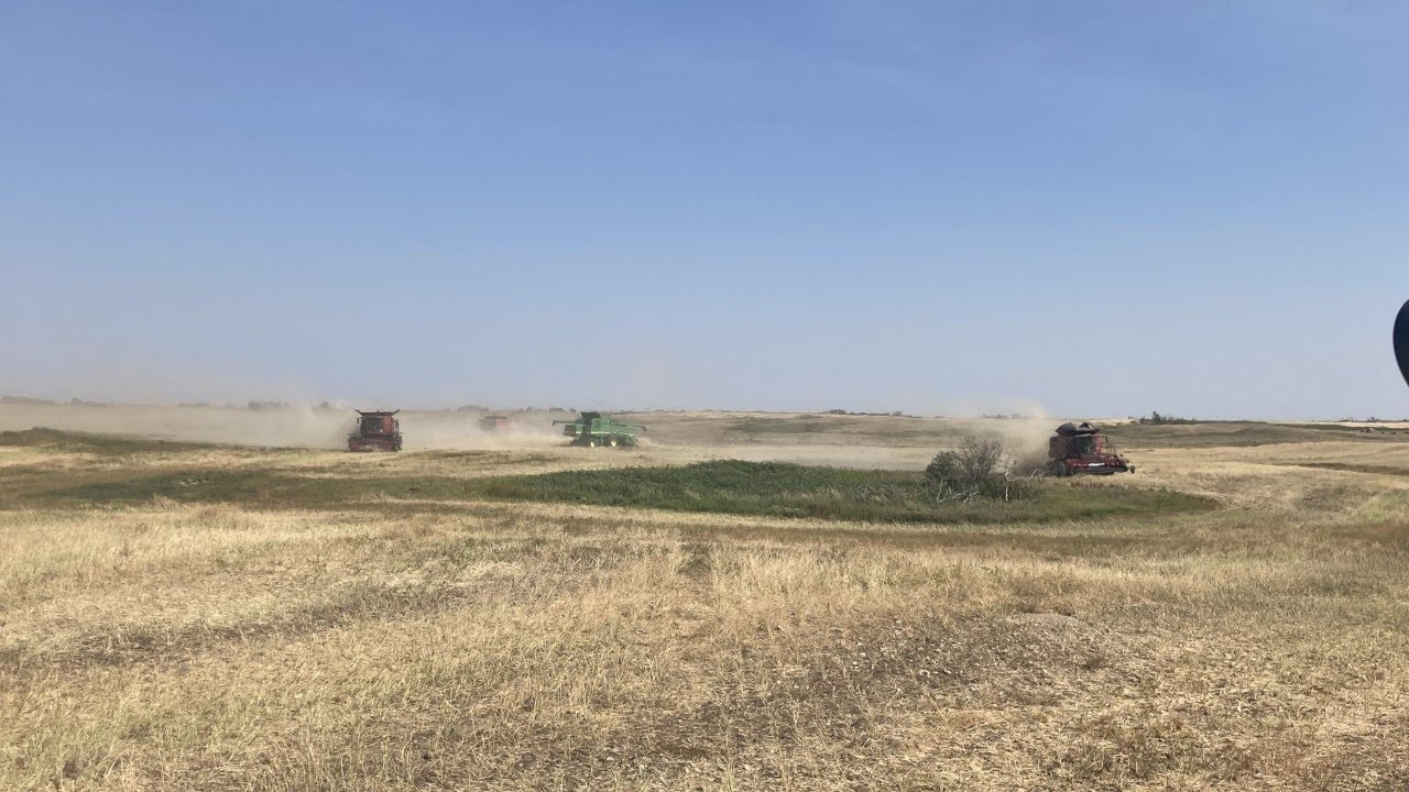 Harvest 2022! - YouTube