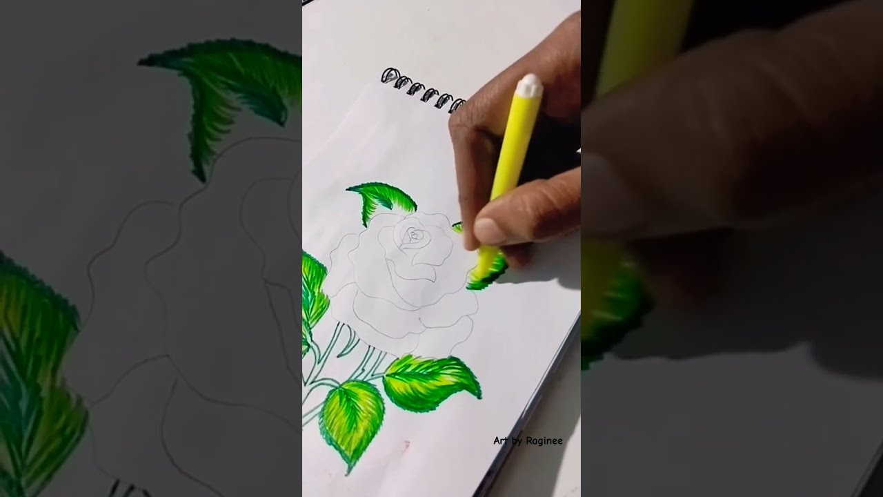 Rose Drawing With Colour Penting Easy Art Shorts
