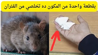 لو عندك قطعة من المكون ده مش هتشوفي الفئران تاني...التخلص من الفئران بدون سم فئران