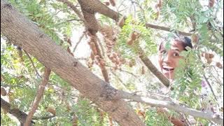 TAMARIND SALOMAGUE KALANGAKANG