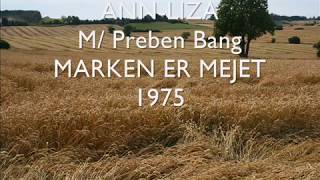 ANN-LIZA**Marken er mejet