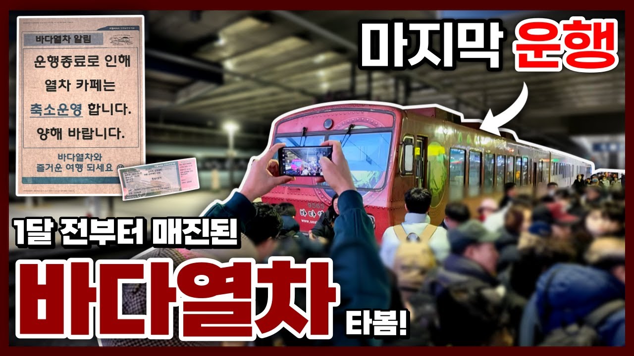 (국내 최후의 디젤동차 폐지) 마지막 바다열차 타봤습니다! (+기념식)