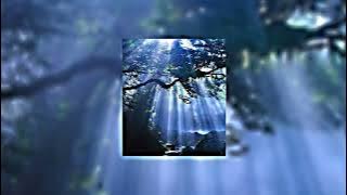 the beauty of existence  ( beautiful arabic nasheed) sped up   reverb