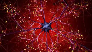 Each new memory formation results in neuronal damage in your brain cells.