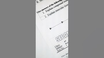 Insert Scissor Symbol in Word / Cut from here #✂️ #msofficeprofessional #msoffice