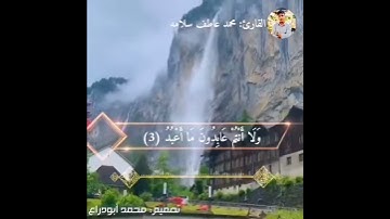 حالات واتس سورة الكافرون بصوت ألقارئ محمد عاطف سلامه بصوت رائع جدا ❤