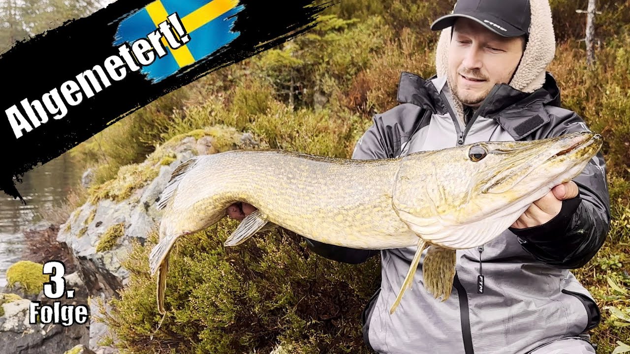 Hecht Action in Schweden! Livebisse und dicke Fische vom Schlauchboot!