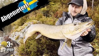 Hecht Action in Schweden! Livebisse und dicke Fische vom Schlauchboot!