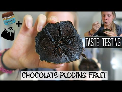 CHOCOLATE PUDDING FRUIT TASTE TEST || Black Sapote