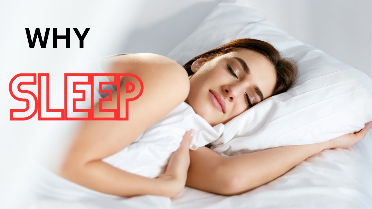 Why Is Night Sleep Important