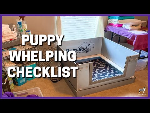 Vídeo: Puppy Whelping 101