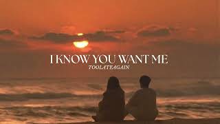 Pitbull - I Know You Want Me (Calle Ocho) [Slowed And Reverb]