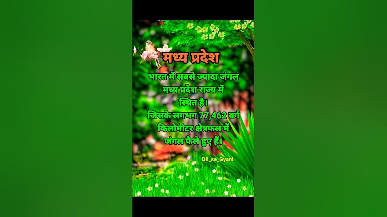 Largest Forest State In India inindia largest-forest-state-in-india-inindia