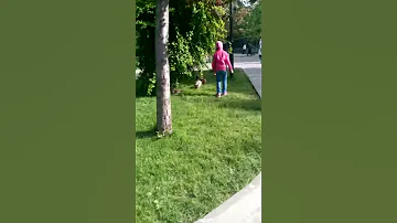 По газоном не ходить!!!