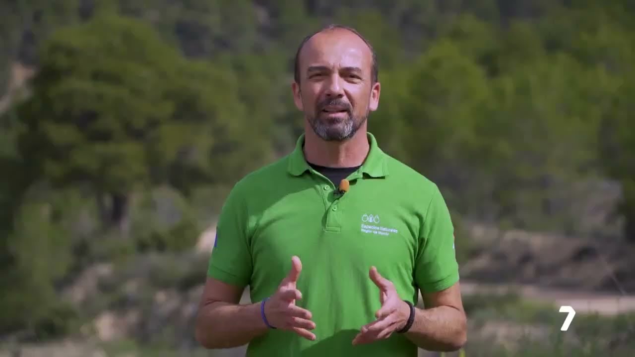 PARQUE REGIONAL DE SIERRA ESPUÑA - BARRANCO DE ENMEDIO - ORO MOLÍO