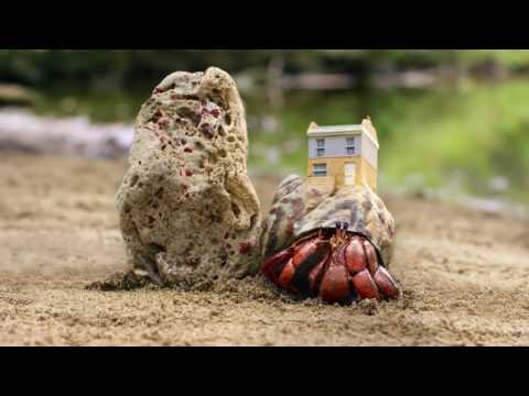 Zoopla TV advert  - Crab World (60 seconds)