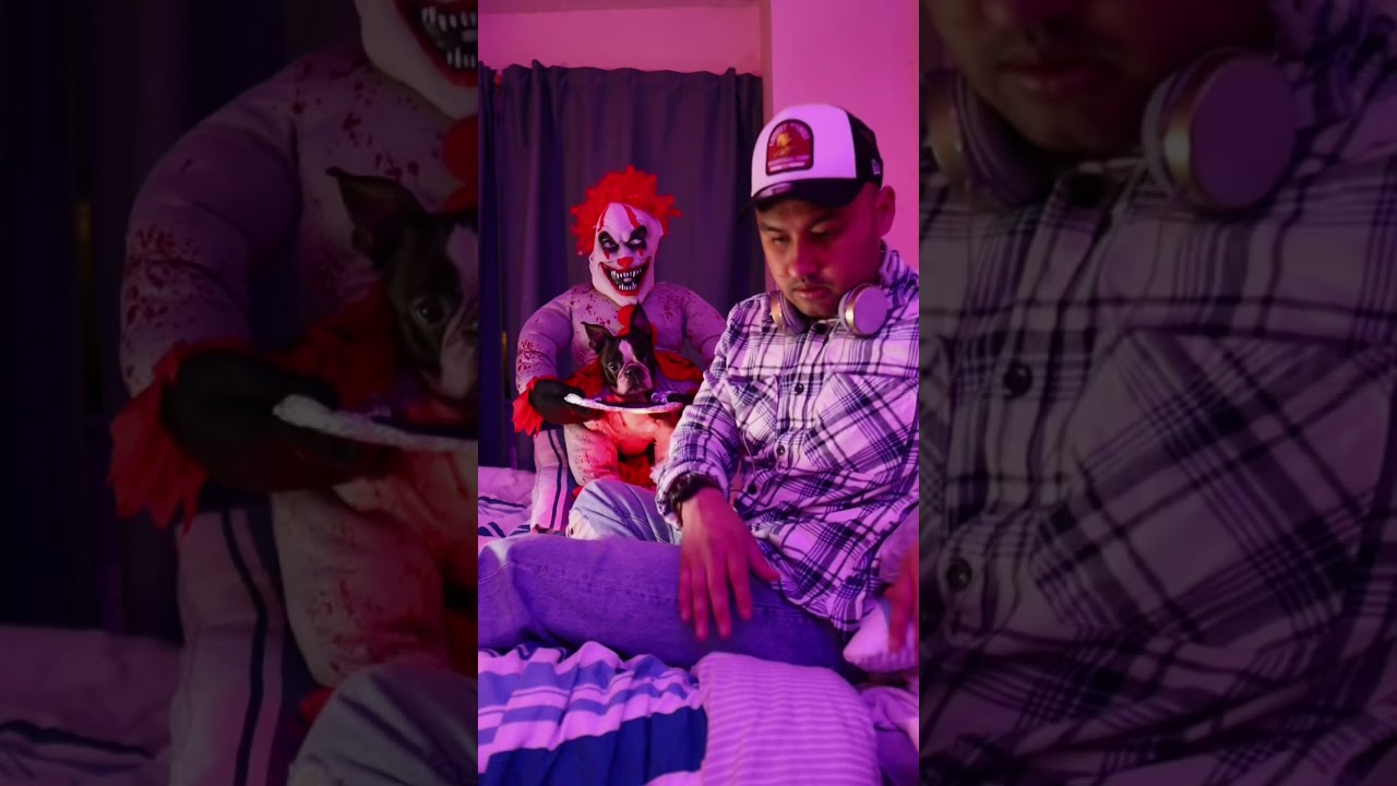 Do you like Toby’s costume? #shorts - YouTube