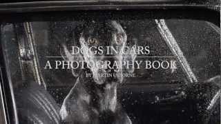 The Silence of Dogs in Cars by Martin Usborne (Archive) screenshot 3