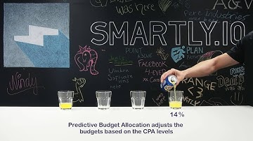 Predictive Budget Allocation In 46 Seconds